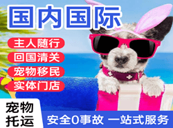 乌海航空邮寄国际宠物托运 【国